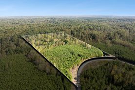 Recreational Property in Stewart County, Tennessee