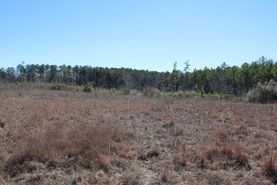 Farm and Ranch for sale in Lawrence County, Mississippi