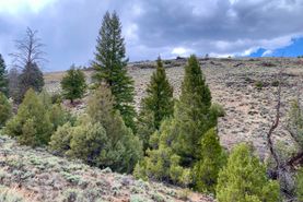 Commercial Property for sale in Saguache County, Colorado