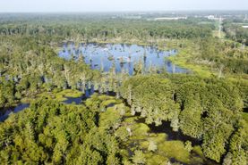 Farm and Ranch for sale in Shelby County, Tennessee