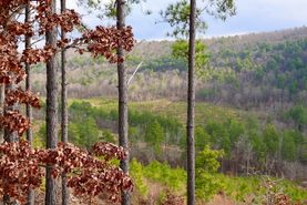 Recreational Property for sale in Le Flore County, Oklahoma