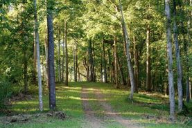 Farm and Ranch for sale in Robertson County, Tennessee