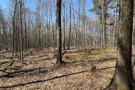 Farm and Ranch in Forest County, Pennsylvania