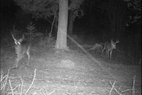 Farm and Ranch in Price County, Wisconsin