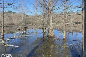 Farm and Ranch for sale in Cleveland County, Arkansas