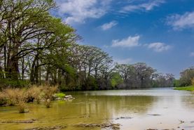 Recreational Property for sale in Kerr County, Texas