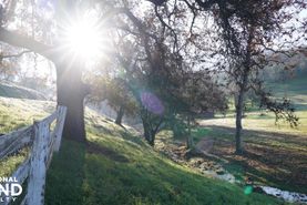 Farm and Ranch in Fresno County, California