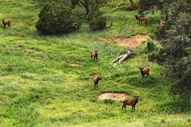 Farm and Ranch for sale in San Miguel County, New Mexico