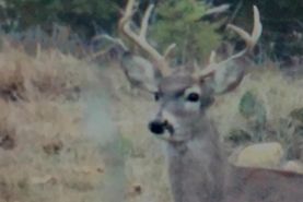 Farm and Ranch in Edwards County, Texas