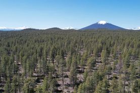 Farm and Ranch for sale in Jefferson County, Oregon
