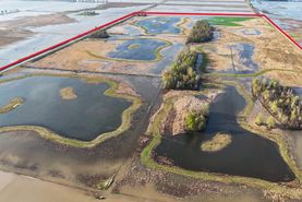 Recreational Property for sale in New Madrid County, Missouri