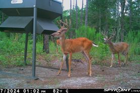 Farm and Ranch for sale in Telfair County, Georgia
