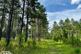 Timberland Property for sale in Telfair County, Georgia