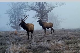 Hunting Property for sale in Morgan County, Missouri