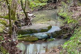 Farm and Ranch for sale in Abbeville County, South Carolina