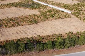 Land in Berkeley County, South Carolina