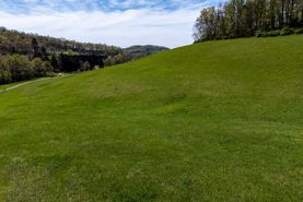 Farm and Ranch for sale in Monongalia County, West Virginia