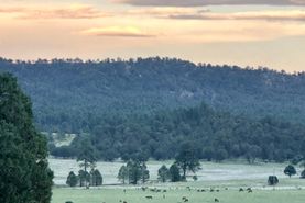Farm and Ranch for sale in Grant County, New Mexico
