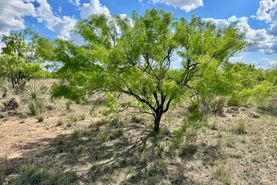 Farm and Ranch for sale in McCulloch County, Texas
