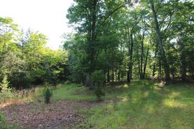 Recreational Property for sale in Frederick County, Virginia
