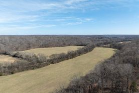 Timberland Property in Hickman County, Tennessee
