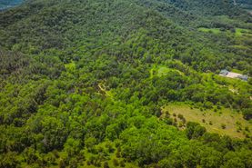 Timberland Property for sale in Houston County, Minnesota
