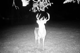 Farm and Ranch for sale in Winneshiek County, Iowa