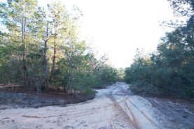 Timberland Property in Putnam County, Florida