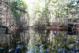 Timberland Property for sale in Houston County, Texas