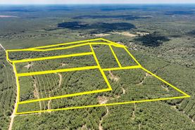 Recreational Property in Tyler County, Texas