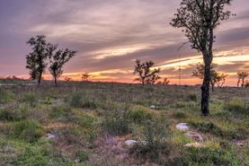 Timberland Property for sale in Burnet County, Texas