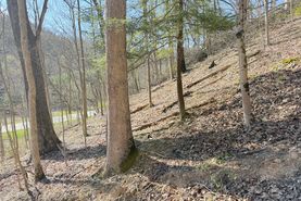 Farm and Ranch in Jefferson County, Ohio