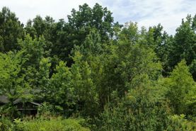 Farm and Ranch for sale in McCurtain County, Oklahoma