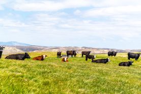 Recreational Property for sale in San Luis Obispo County, California