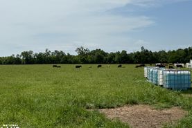 Farm and Ranch for sale in Richland Parish, Louisiana