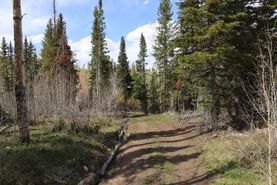 Recreational Property in Jackson County, Colorado