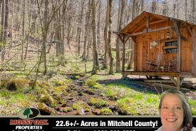 Recreational Property for sale in Mitchell County, North Carolina