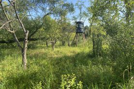Farm and Ranch for sale in Livingston County, Michigan