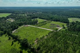 Land for sale in Wheeler County, Georgia
