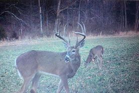 Farm and Ranch for sale in Morgan County, Missouri