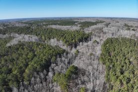 Timberland Property for sale in Itawamba County, Mississippi