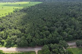 Farm and Ranch for sale in Tangipahoa Parish, Louisiana