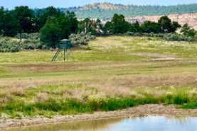 Farm and Ranch for sale in Sandoval County, New Mexico