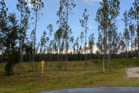 Recreational Property for sale in Lafayette County, Florida