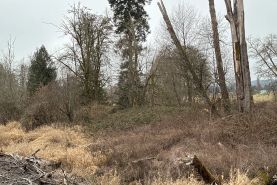 Farm and Ranch for sale in Lewis County, Washington