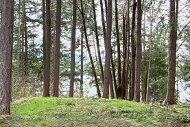 Farm and Ranch for sale in Thurston County, Washington