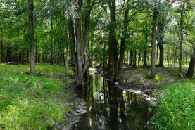 Recreational Property in Gonzales County, Texas