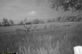 Recreational Property for sale in Woodson County, Kansas