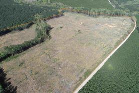 Farm and Ranch for sale in Dinwiddie County, Virginia