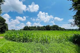 Timberland Property for sale in Adair County, Kentucky
